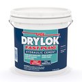 Drylok Fast Plug Hydraulic & Anchoring Cement 10 lb 00924